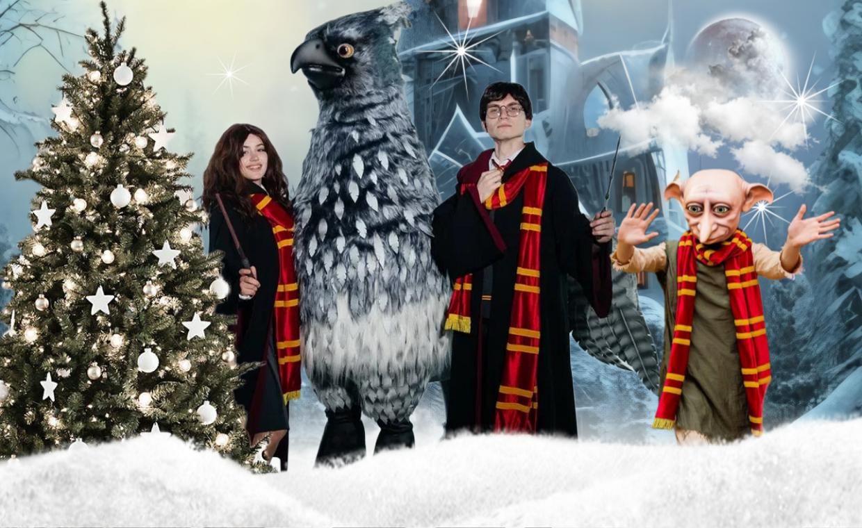 Новый Год в Хогвардс